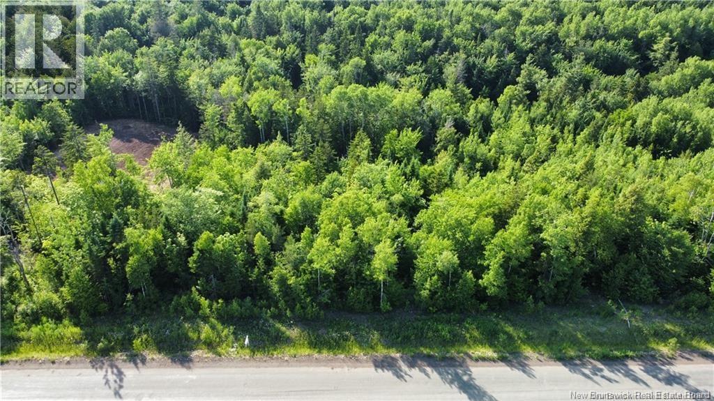Lot 21-39 Orchard Avenue Property Photo 1