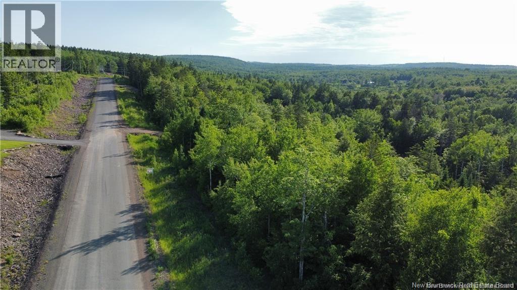 Lot 21-39 Orchard Avenue Property Photo 2