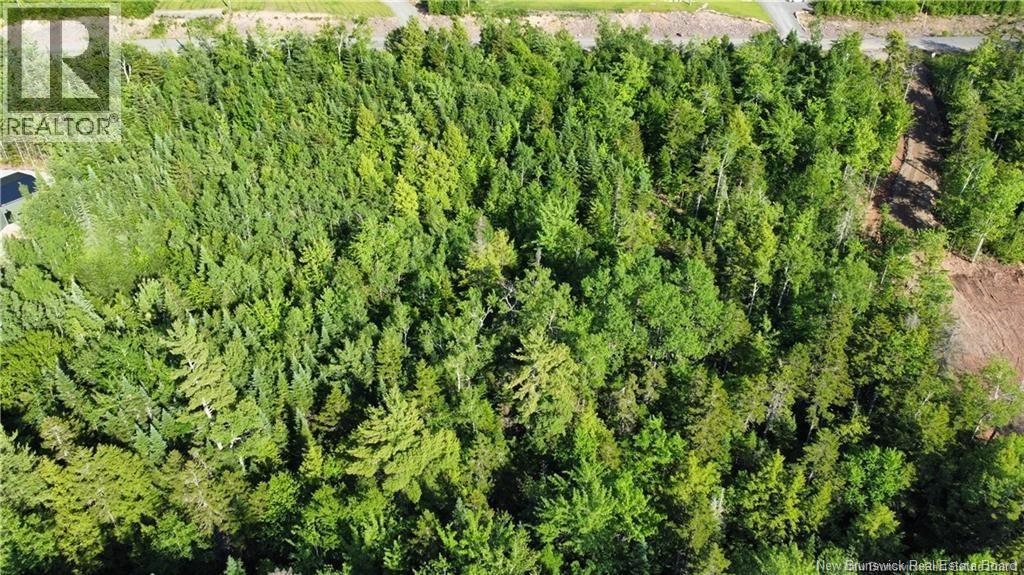 Lot 21-39 Orchard Avenue Property Photo 5