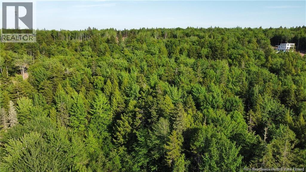 Lot 21-44 Orchard Avenue Property Photo 11