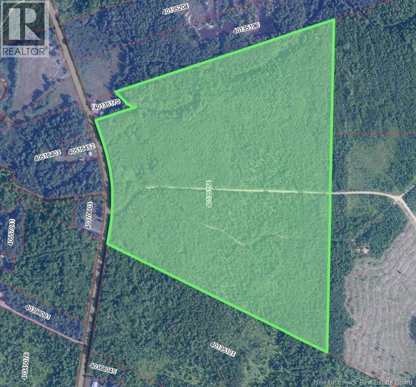 Route 425 Property Photo 3