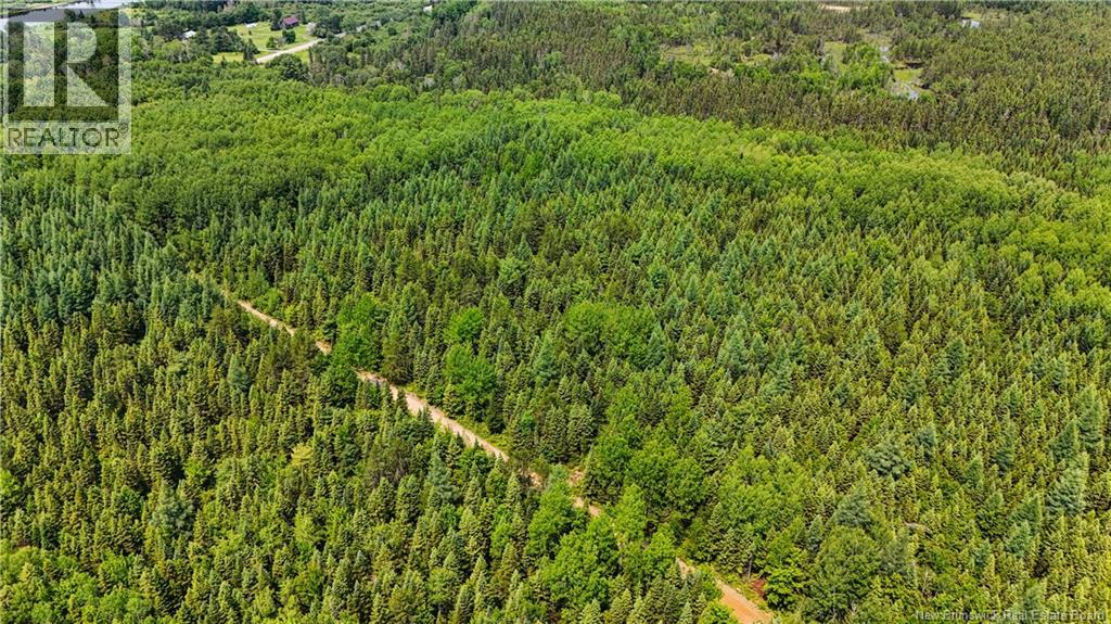 Route 425 Property Photo 15