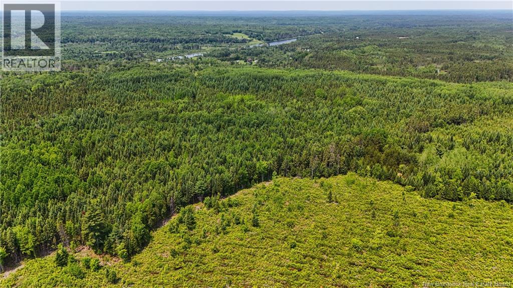 Route 425 Property Photo 18