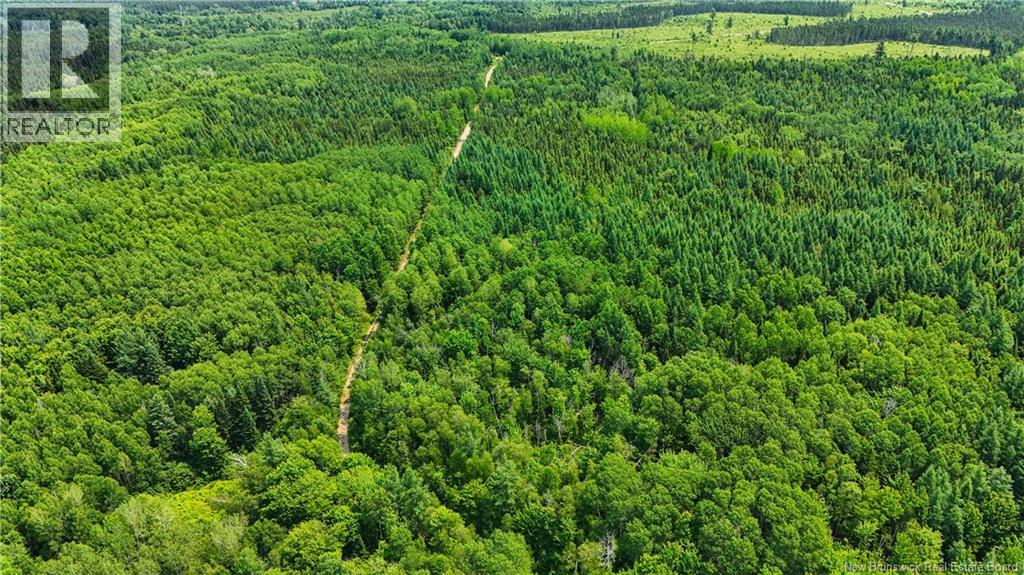Route 425 Property Photo 23