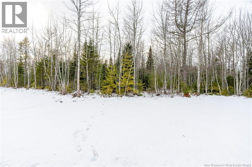 19 Shoreway Street Property Photo 19