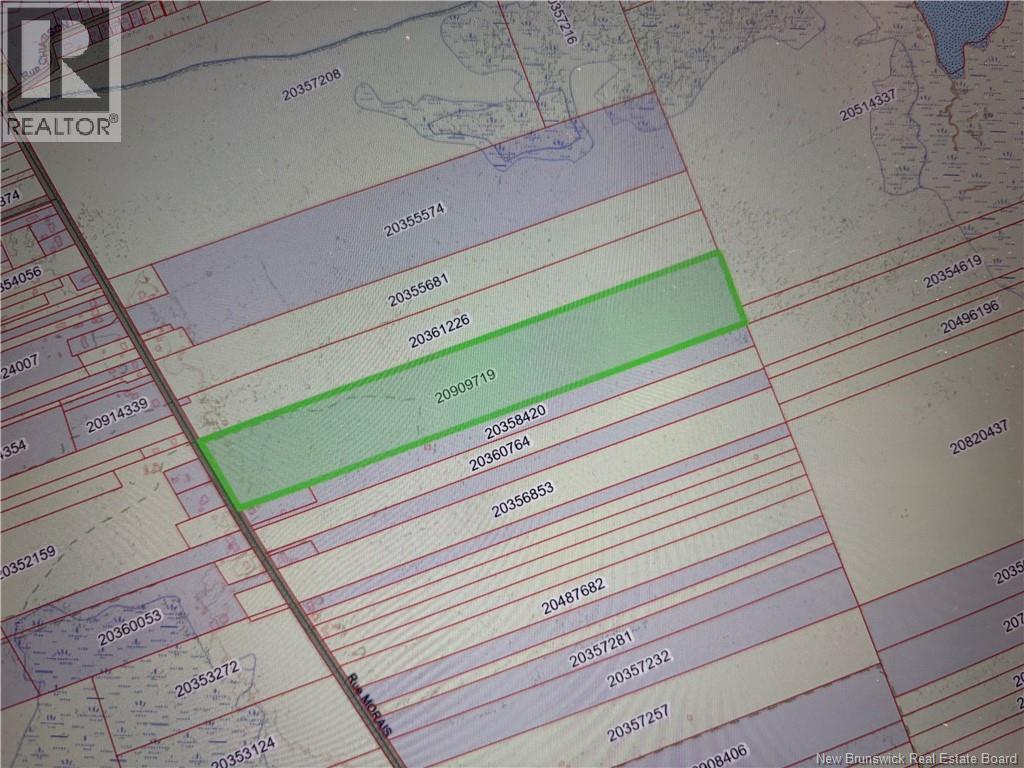 39.27 Acres Rue Morais Property Photo 1