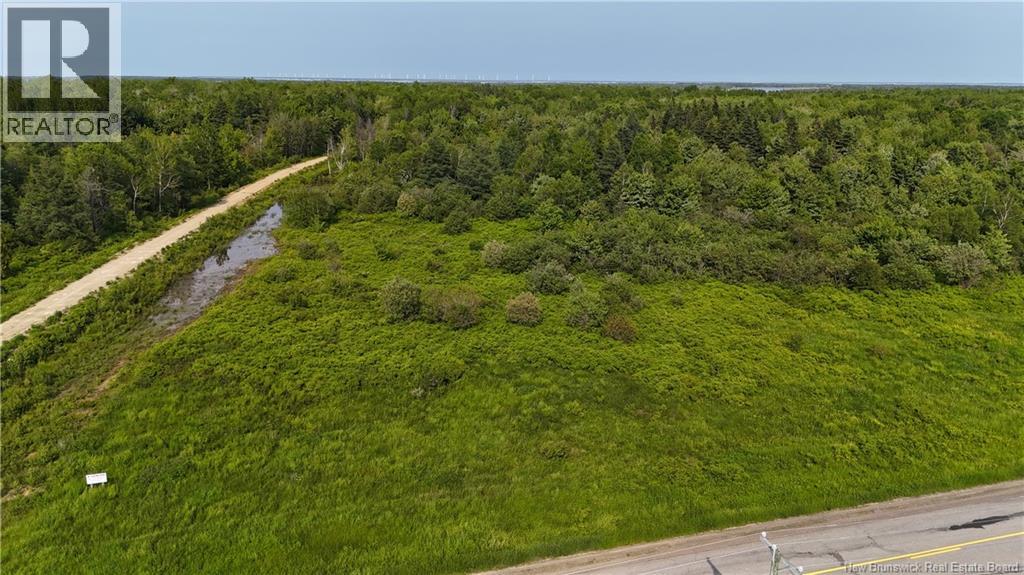 39.27 Acres Rue Morais Property Photo 2