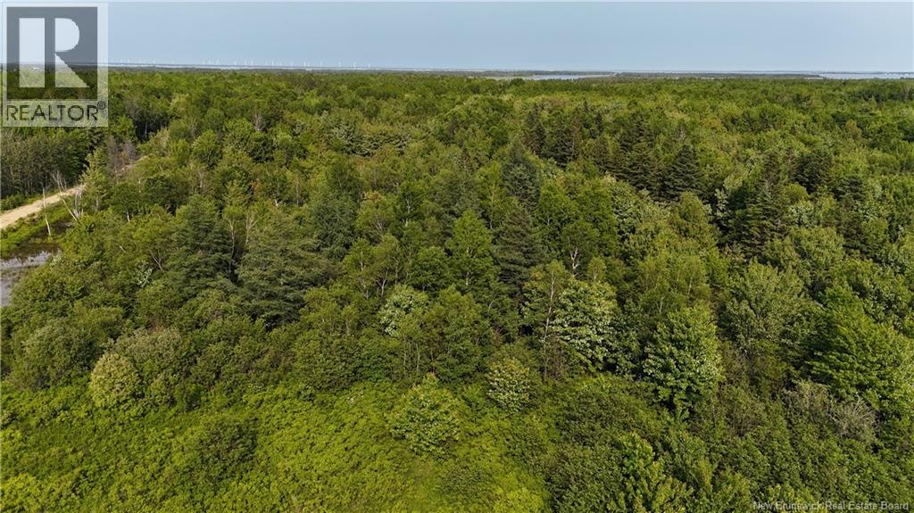 39.27 Acres Rue Morais Property Photo 3