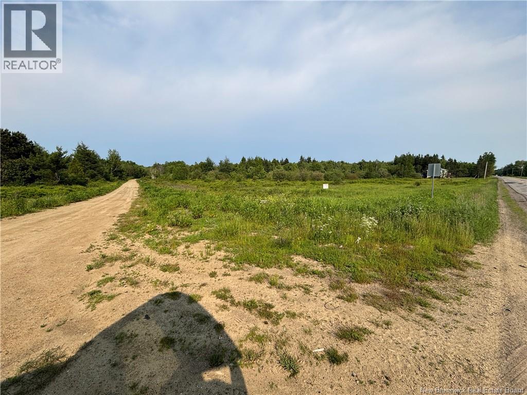 39.27 Acres Rue Morais Property Photo 4