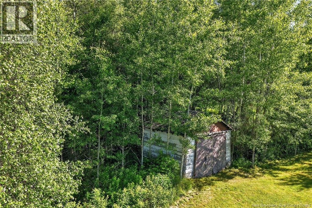 19 Beckwith Road Property Photo 36