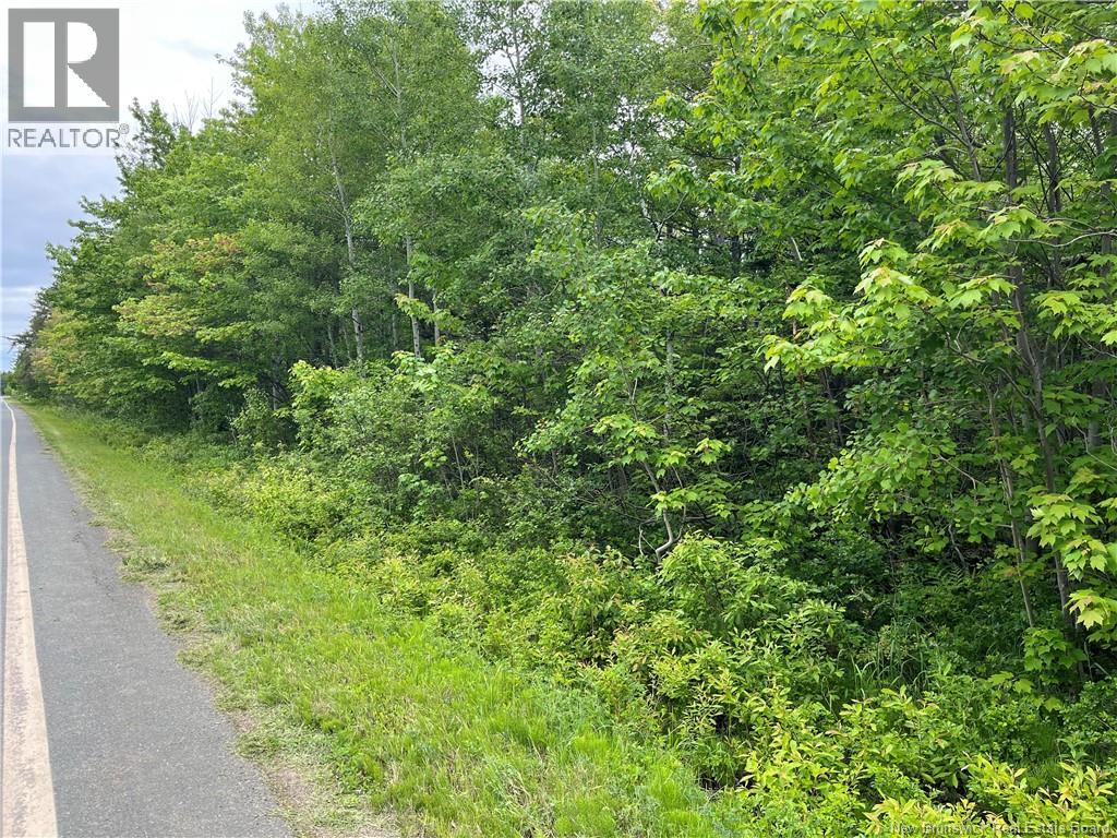 1446 Chatillon Property Photo 1
