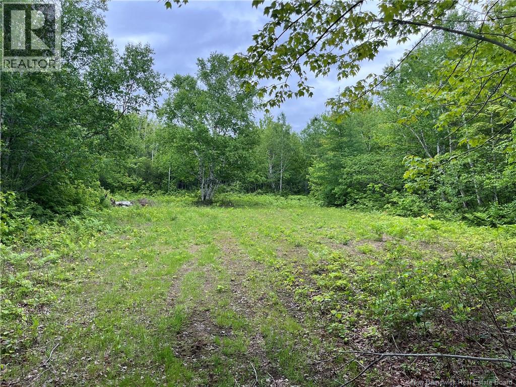 1446 Chatillon Property Photo 2