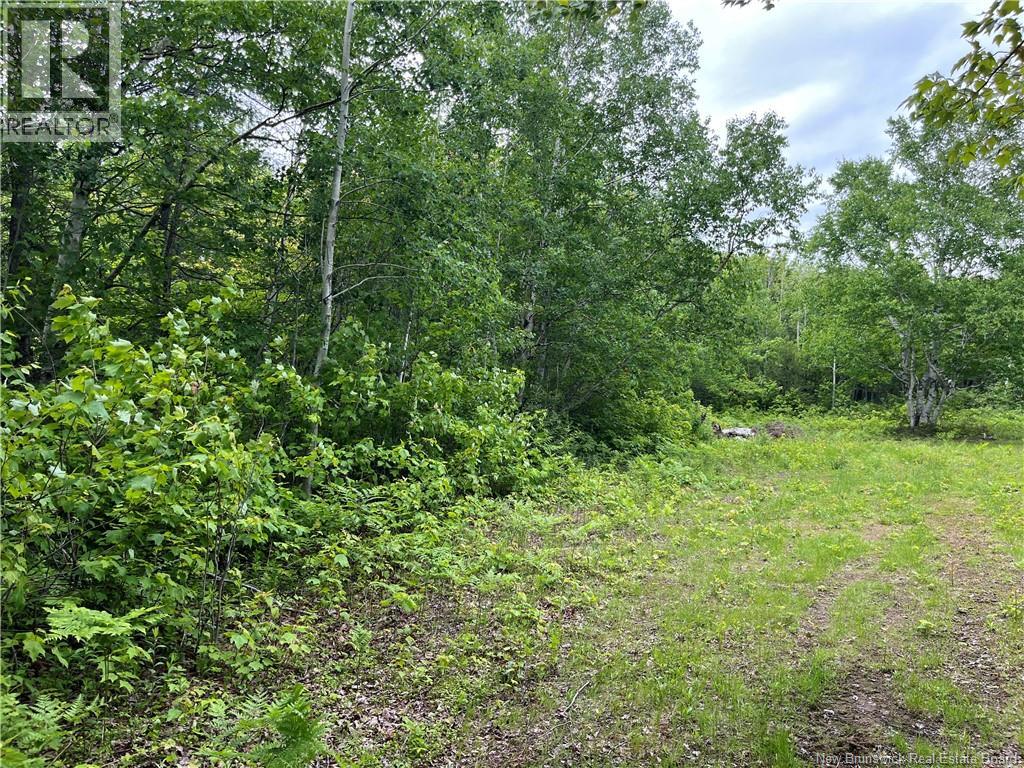 1446 Chatillon Property Photo 3
