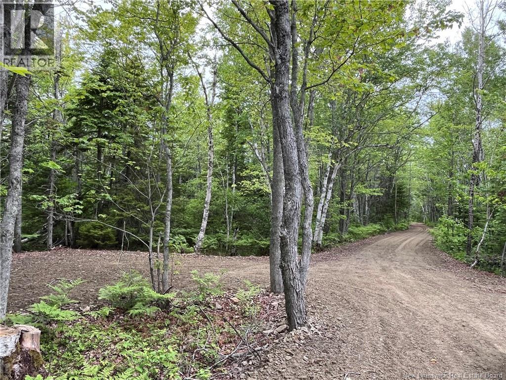 1446 Chatillon Property Photo 4