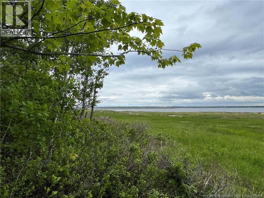 1446 Chatillon Property Photo 7