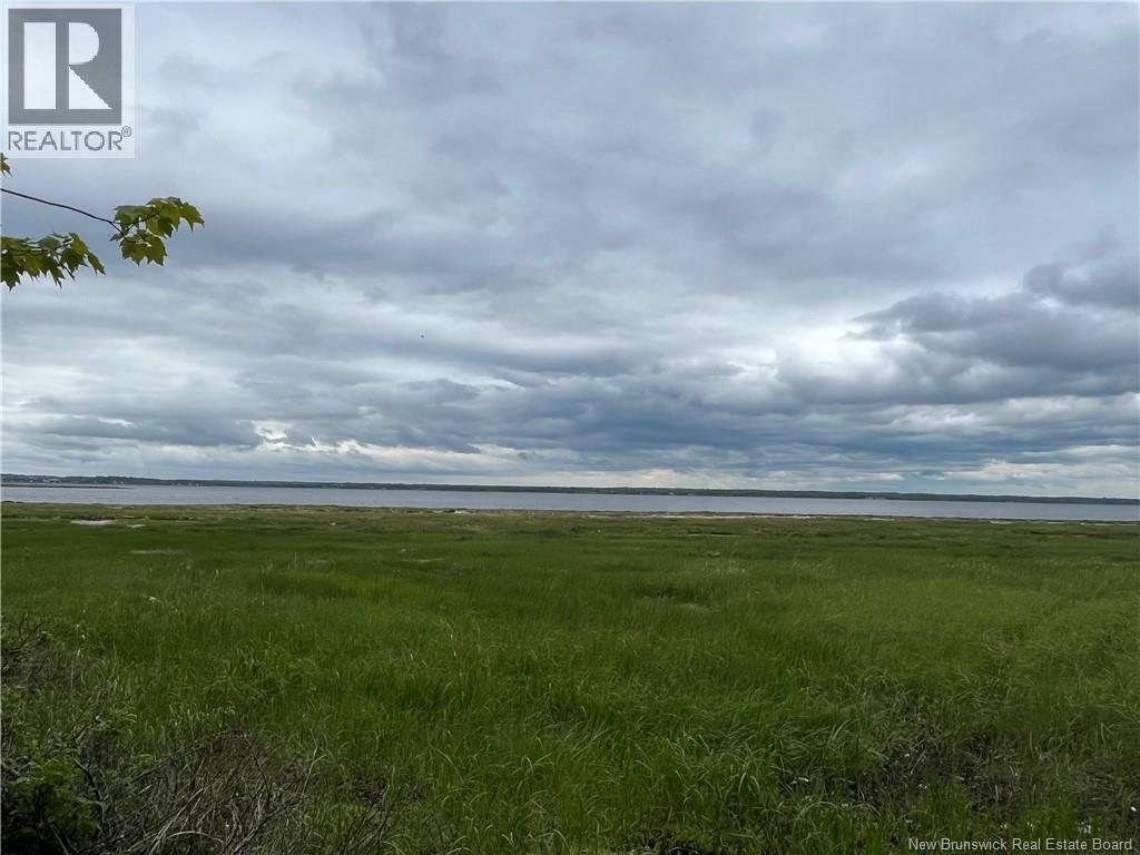 1446 Chatillon Property Photo 8