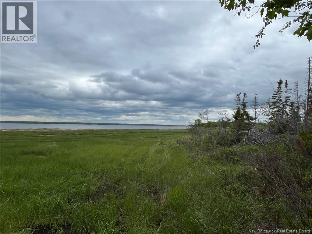 1446 Chatillon Property Photo 9