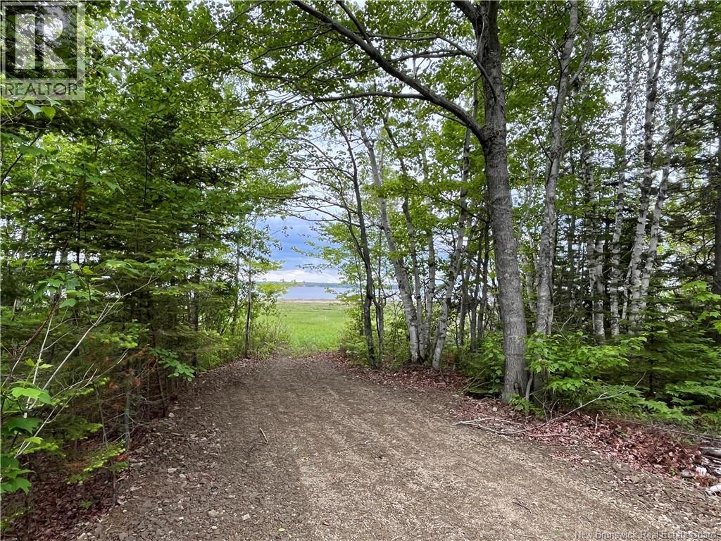 1446 Chatillon Property Photo 10