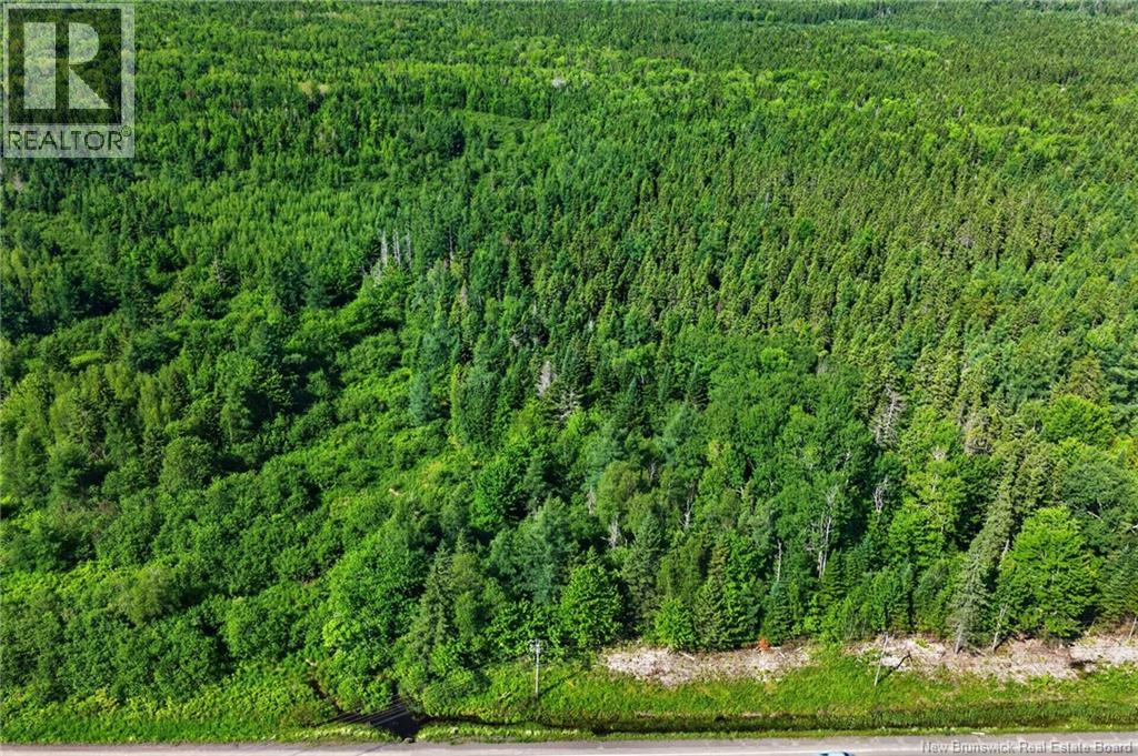 Lot 24-2 Route 126 Property Photo 3