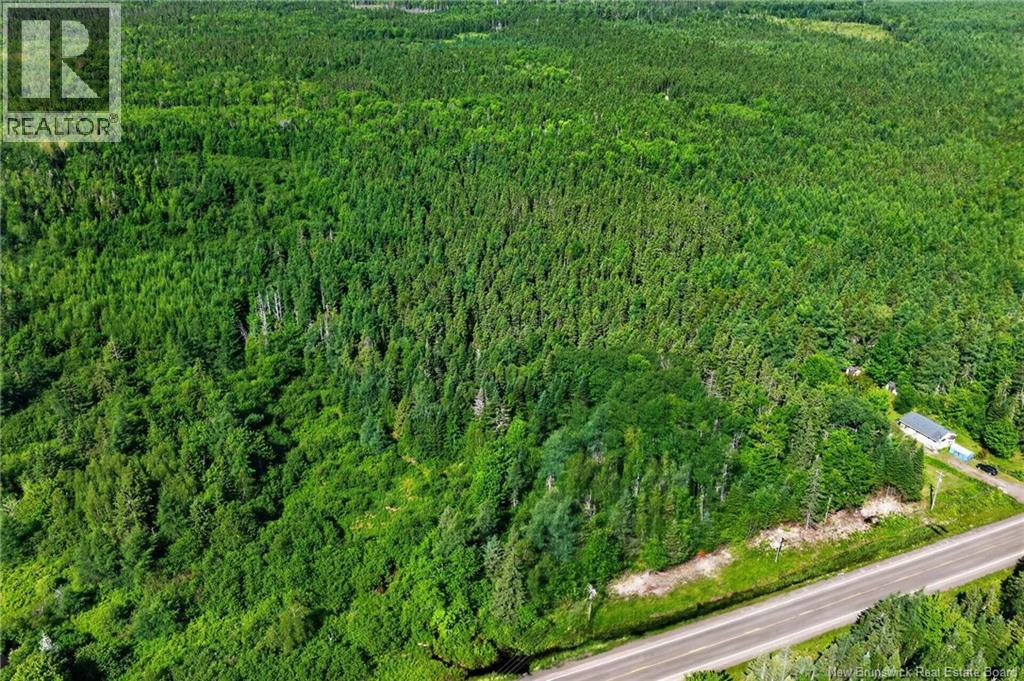 Lot 24-2 Route 126 Property Photo 4