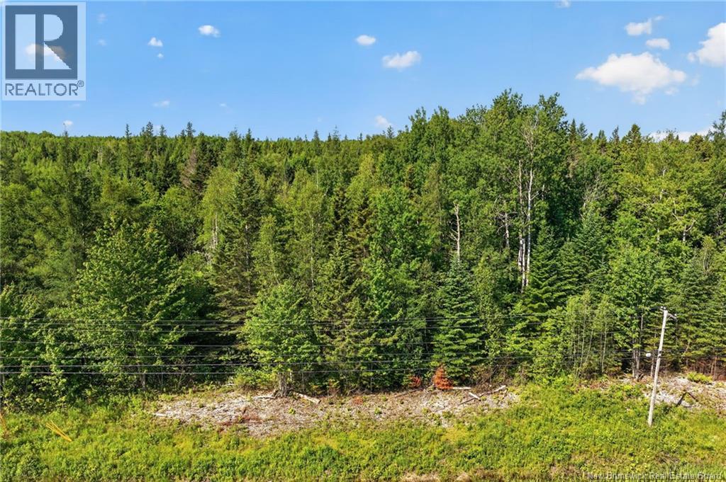Lot 24-2 Route 126 Property Photo 9