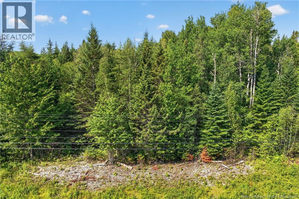 Lot 24-2 Route 126 Property Photo 10