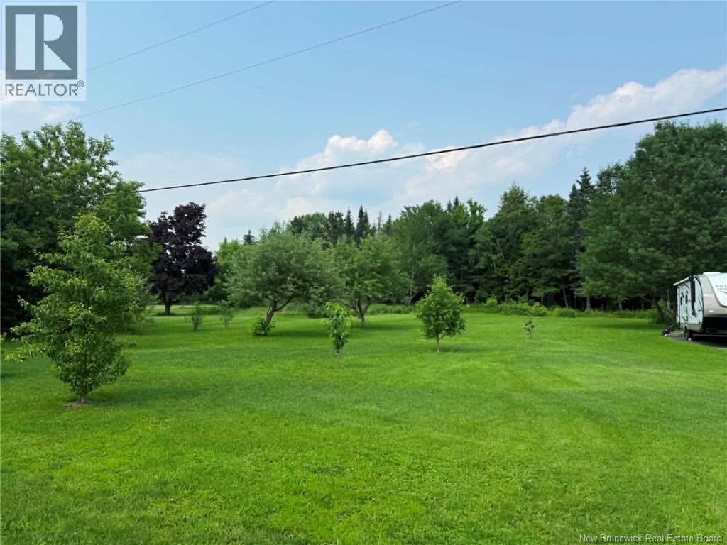 10 Coady Street Property Photo 32