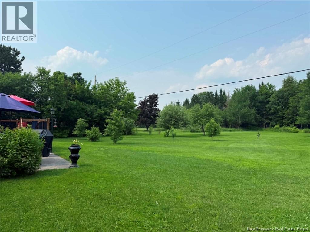 10 Coady Street Property Photo 33
