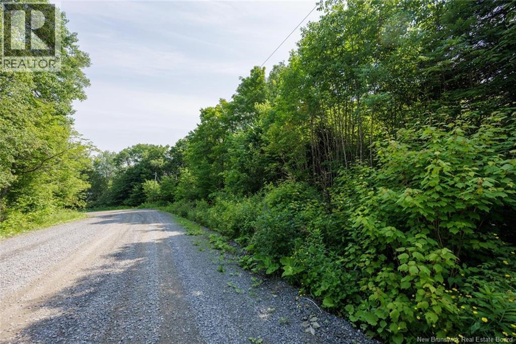 N/a Mud Lake Road Property Photo 6