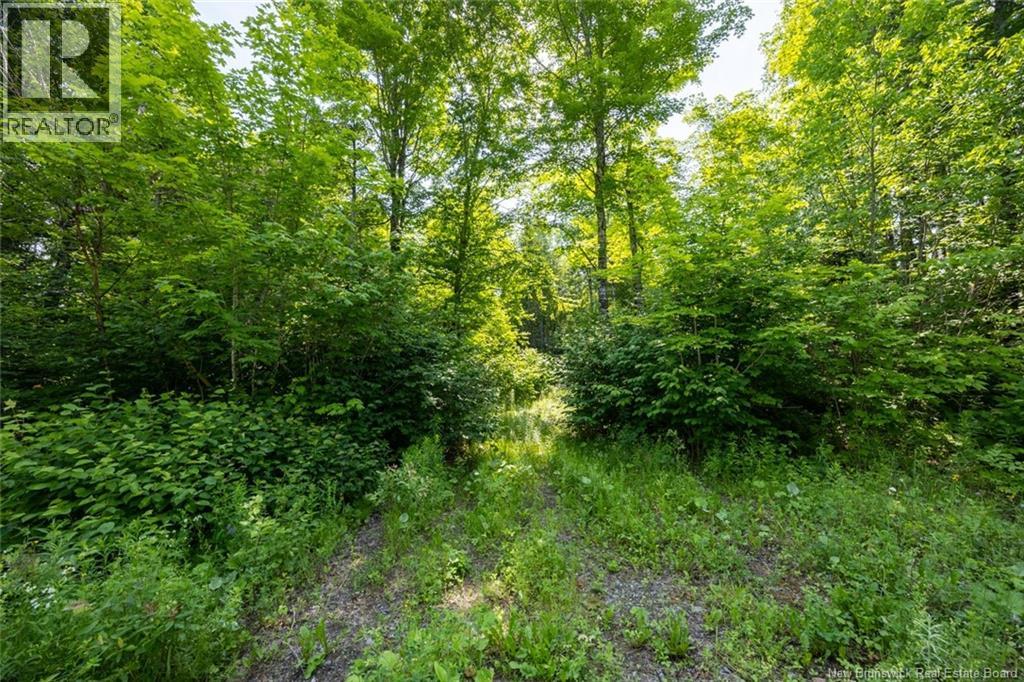 N/a Mud Lake Road Property Photo 7