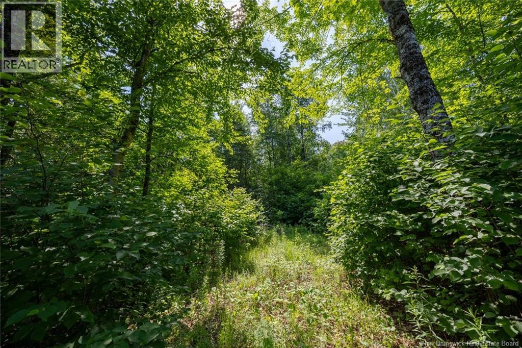 N/a Mud Lake Road Property Photo 8