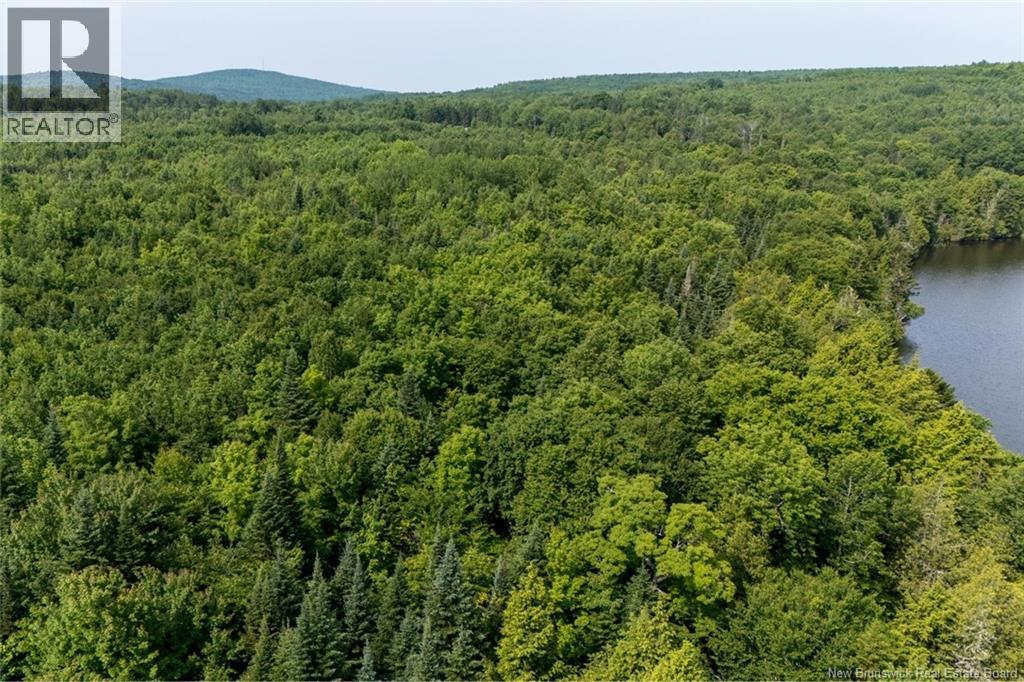N/a Mud Lake Road Property Photo 11
