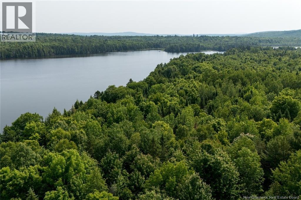 N/a Mud Lake Road Property Photo 12