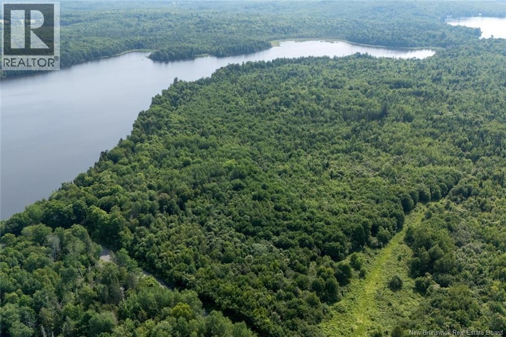 N/a Mud Lake Road Property Photo 14