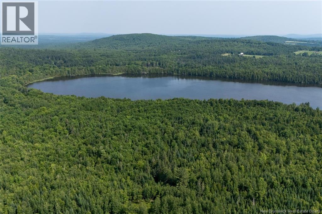N/a Mud Lake Road Property Photo 16