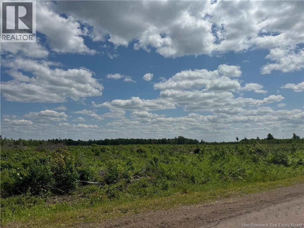 Vacant Lot Murray Road Property Photo 4