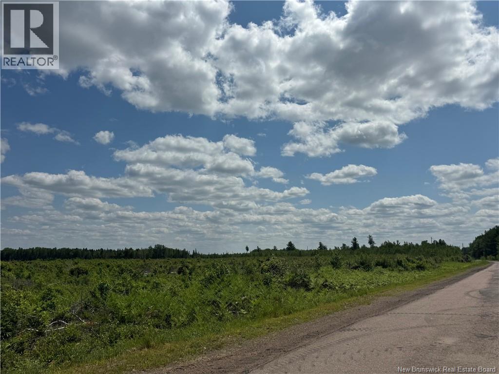 Vacant Lot Murray Road Property Photo 5