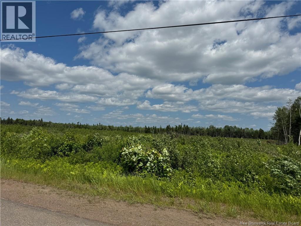 Vacant Lot Murray Road Property Photo 6
