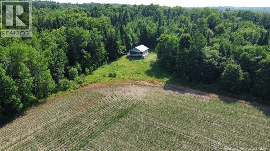 438 Sharkey Road Property Photo 21