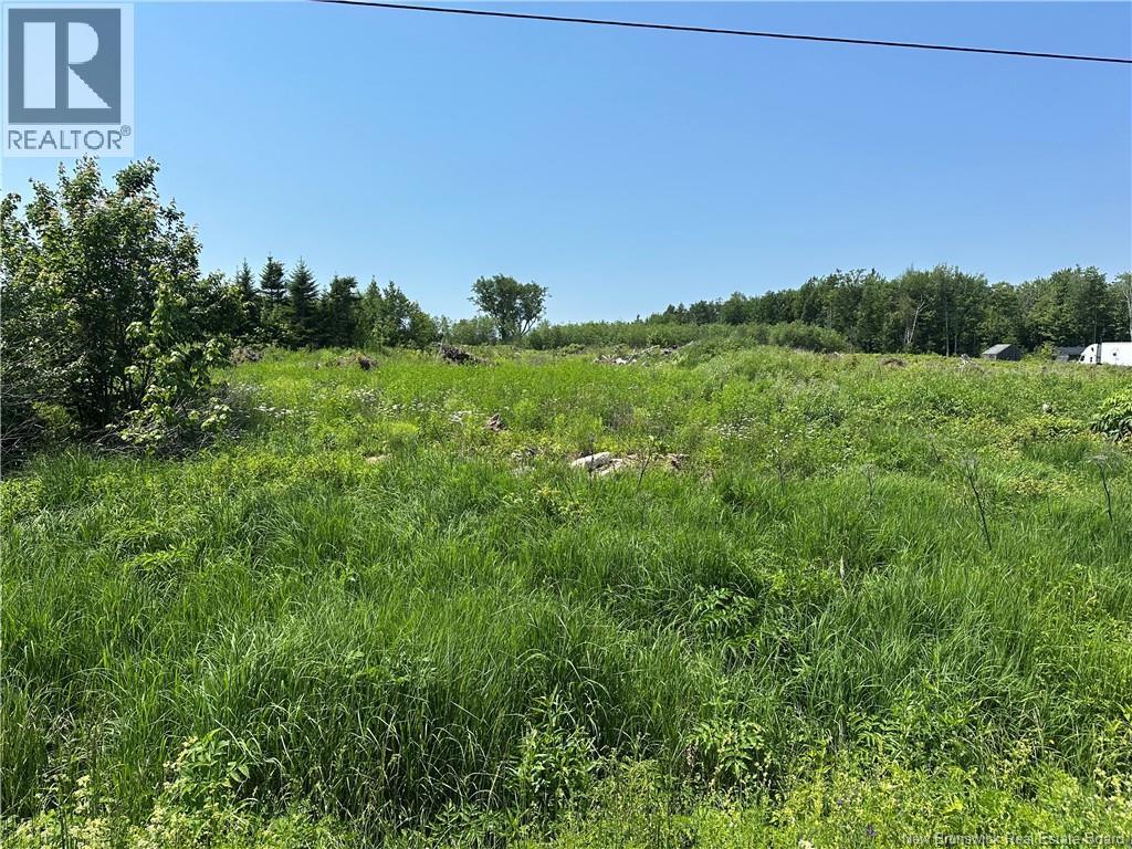 Lot 1 Route 620 Property Photo 1