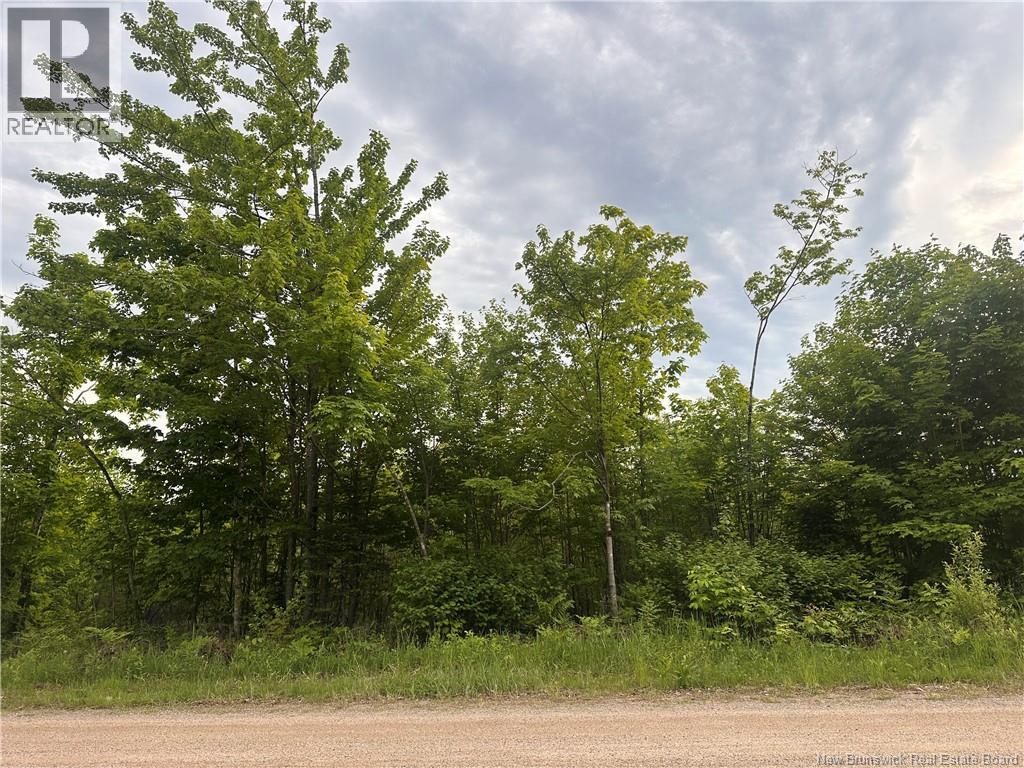 Lot Tay Falls Road