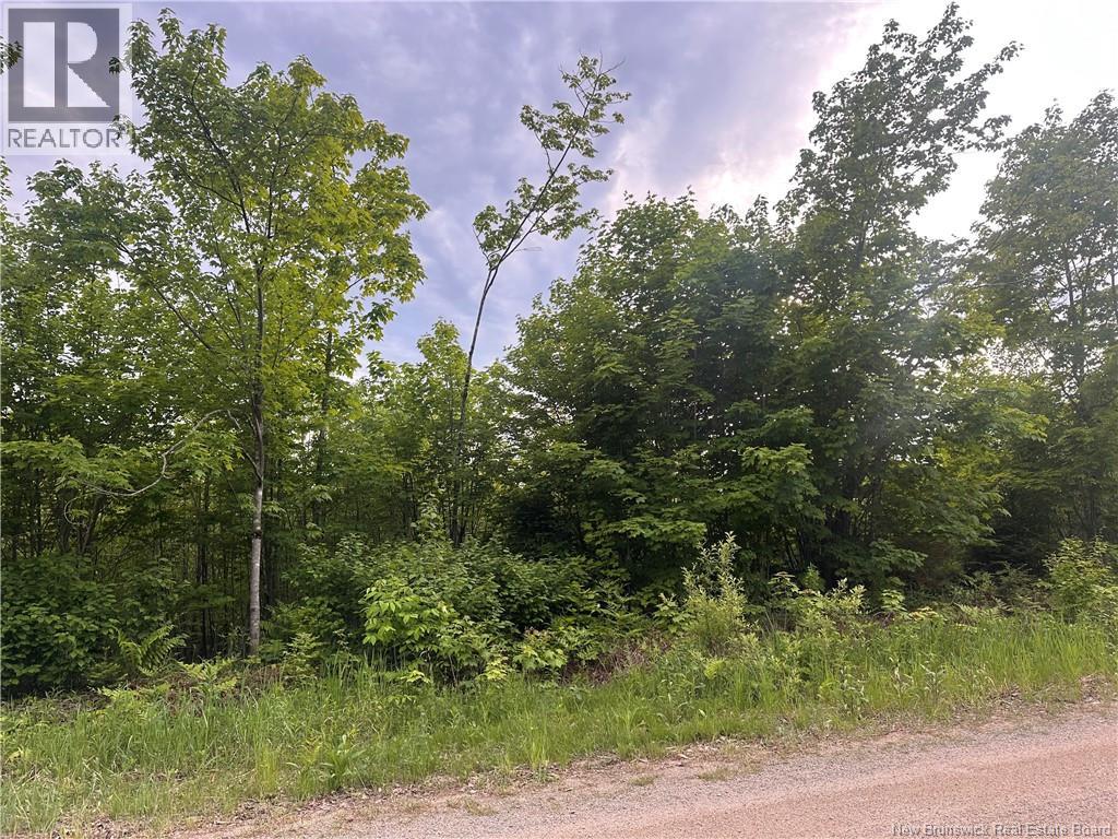 Lot Tay Falls Road Property Photo 2