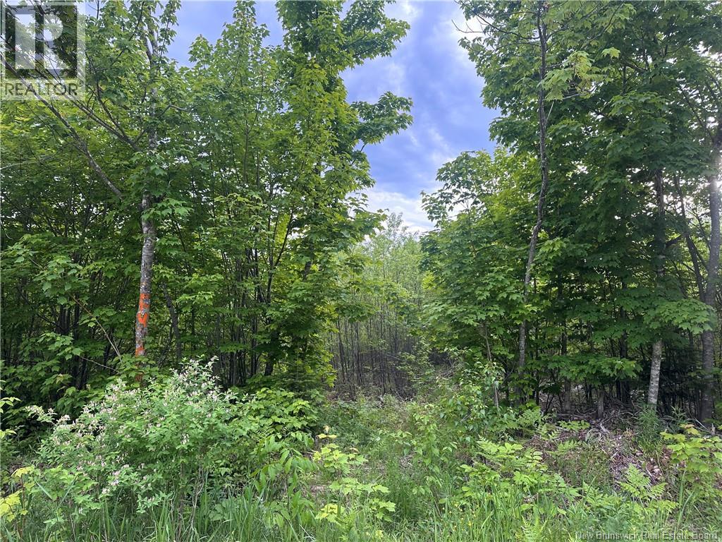 Lot Tay Falls Road Property Photo 3