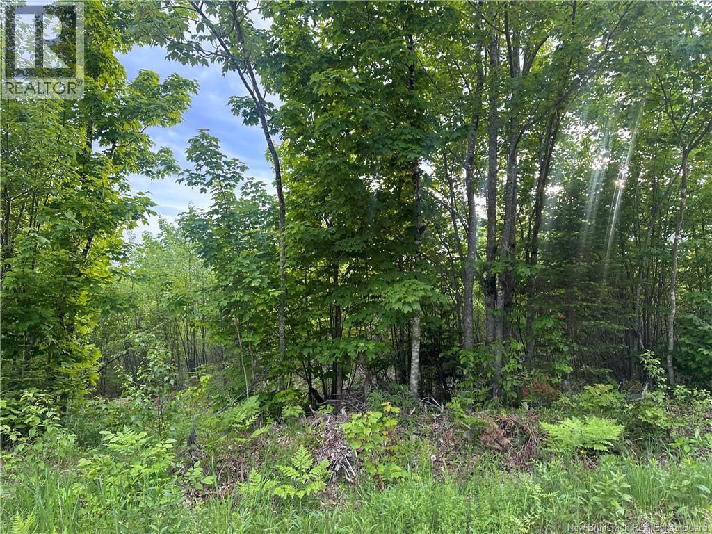 Lot Tay Falls Road Property Photo 4