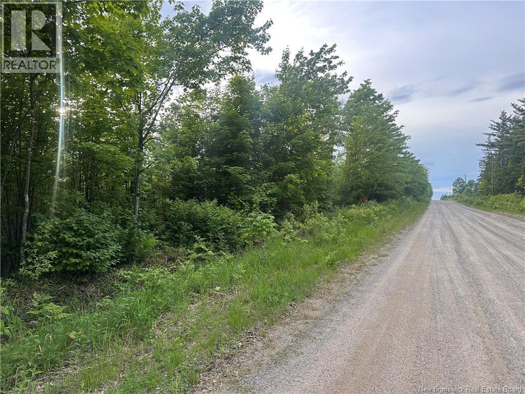 Lot Tay Falls Road Property Photo 5
