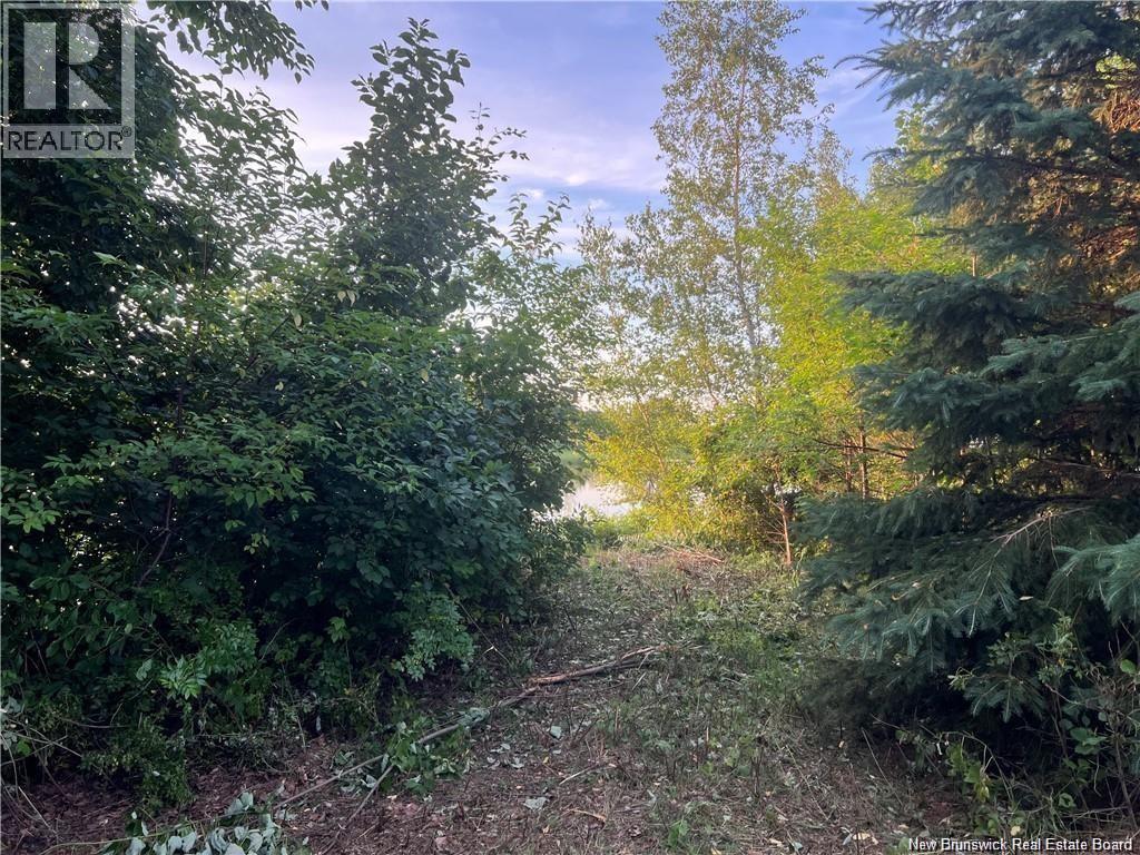 Lot 16-18 Aleesha Court Property Photo 7