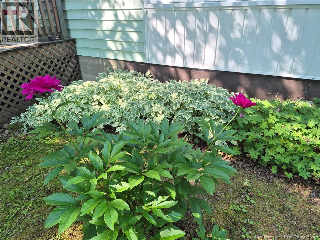 509 Rue Francois Property Photo 8