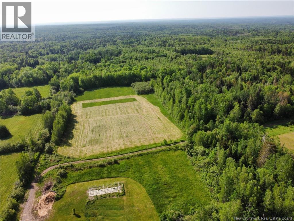 447 New Maryland Highway Property Photo 6