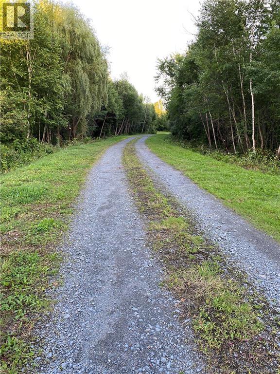 447 New Maryland Highway Property Photo 2