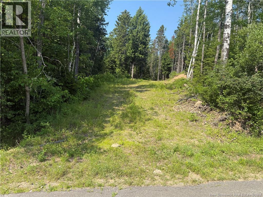 306 Bridge Street Property Photo 3